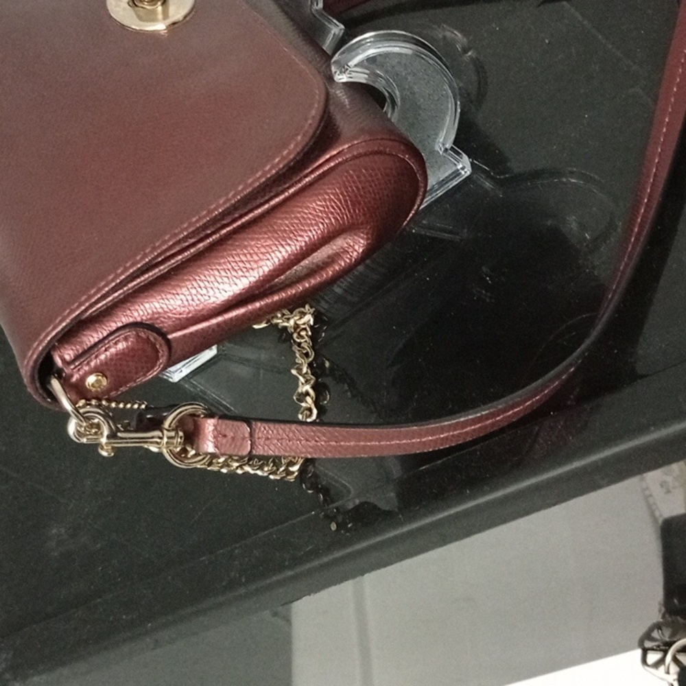 Coach Mini Ruby Crossbody - Picture 4 of 13